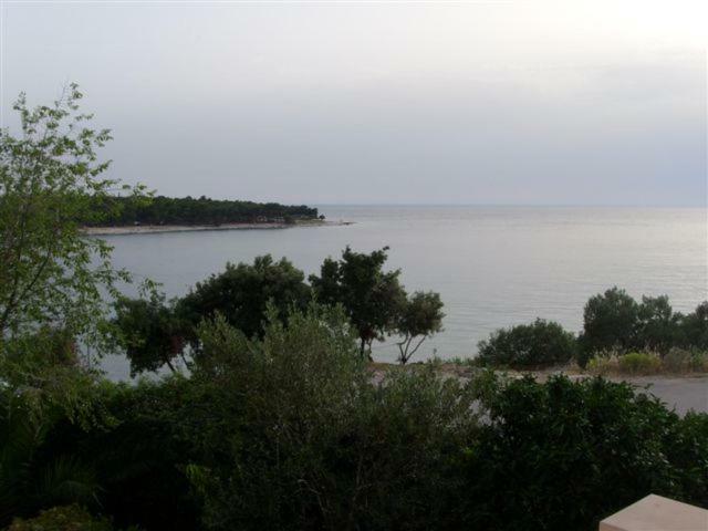 Apartments Tonka Примоштен Экстерьер фото